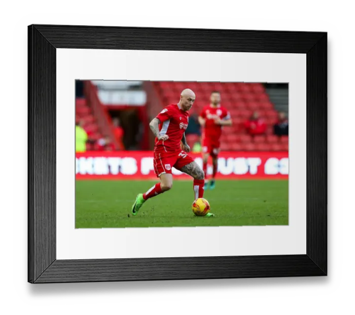 Framed Print : David Cotterill in Action: Bristol City vs Rotherham United, Sky Bet Championship, Ashton Gate Stadium Framed Print : David Cotterill in Action: Bristol City vs Rotherham United, Sky Bet Championship, Ashton Gate Stadium