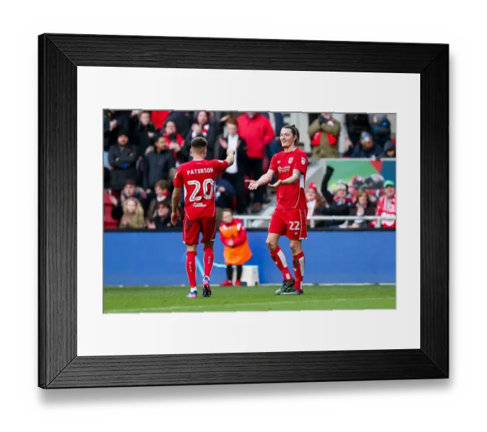 Framed Print : Bristol City's Milan Djuric and Jamie Paterson Celebrate Goal vs Rotherham United, Sky Bet Championship 2017