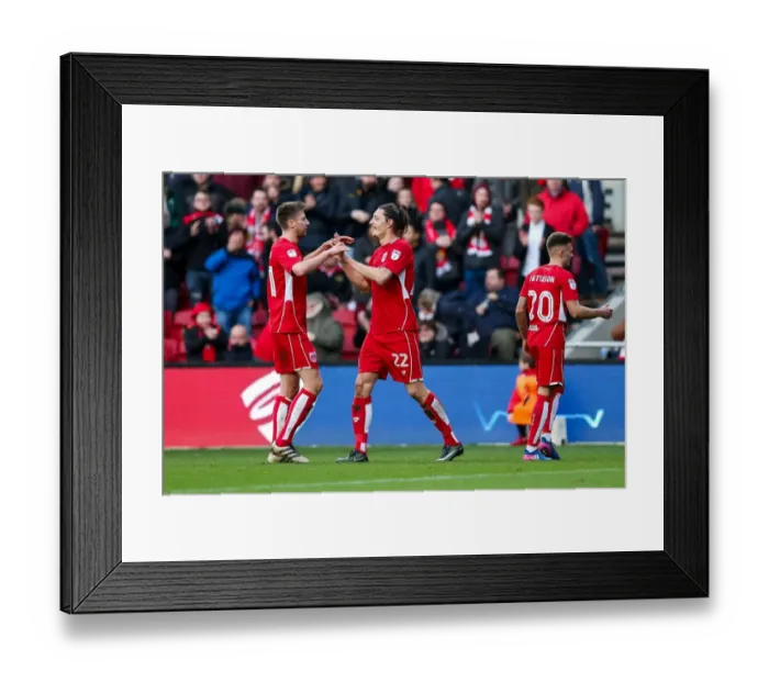 Framed Print : Milan Djuric's Thrilling Goal Celebration: Bristol City's Victory Moment vs Rotherham United (Feb 2017)