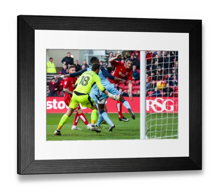 Framed Print : Bristol City's Milan Djuric Scores Thriller at Ashton Gate: 1-0 vs Rotherham United Framed Print : Bristol City's Milan Djuric Scores Thriller at Ashton Gate: 1-0 vs Rotherham United