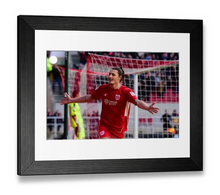 Framed Print : Milan Djuric's Epic Goal Celebration: A Thrilling Moment at Ashton Gate, 2017 (Bristol City vs Rotherham United) Framed Print : Milan Djuric's Epic Goal Celebration: A Thrilling Moment at Ashton Gate, 2017 (Bristol City vs Rotherham United)