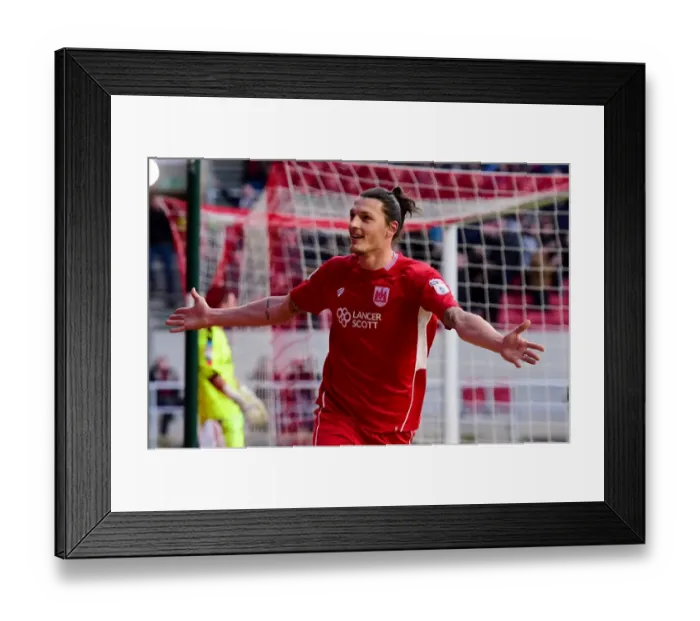 Framed Print : Milan Djuric's Epic Goal Celebration: A Thrilling Moment at Ashton Gate, 2017 (Bristol City v Rotherham United) Framed Print : Milan Djuric's Epic Goal Celebration: A Thrilling Moment at Ashton Gate, 2017 (Bristol City v Rotherham United)