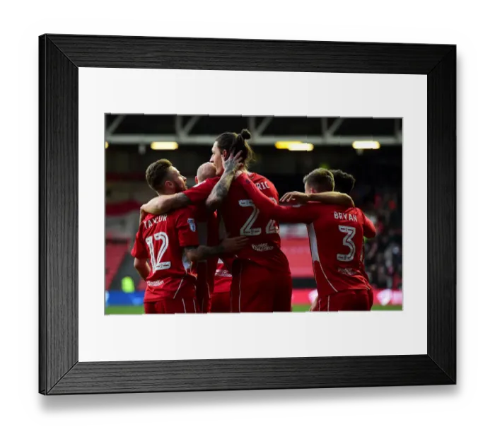 Framed Print : Bristol City Celebrates Win Against Rotherham United: Milan Djuric and Team Mates Rejoice on Field Framed Print : Bristol City Celebrates Win Against Rotherham United: Milan Djuric and Team Mates Rejoice on Field