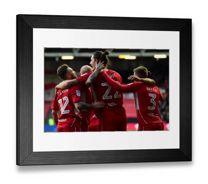 Framed Print : Bristol City Celebrates Milano Djuric's Goal Against Rotherham United, Sky Bet Championship 2017 Framed Print : Bristol City Celebrates Milano Djuric's Goal Against Rotherham United, Sky Bet Championship 2017