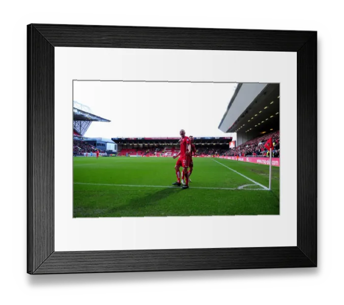 Framed Print : Bristol City Celebrate Goal: Milan Djuric and Matty Taylor Rejoice After Scoring Against Rotherham United Framed Print : Bristol City Celebrate Goal: Milan Djuric and Matty Taylor Rejoice After Scoring Against Rotherham United