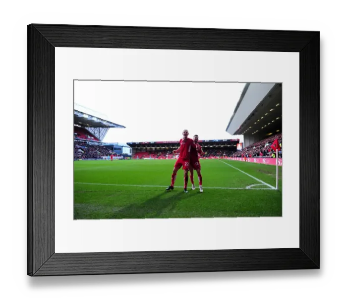 Framed Print : Bristol City: Milan Djuric and Matty Taylor Celebrate Goal Against Rotherham United Framed Print : Bristol City: Milan Djuric and Matty Taylor Celebrate Goal Against Rotherham United