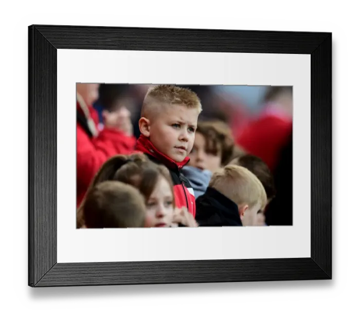 Framed Print : Sea of Supporters: Bristol City vs Rotherham United at Ashton Gate, 2017 Framed Print : Sea of Supporters: Bristol City vs Rotherham United at Ashton Gate, 2017