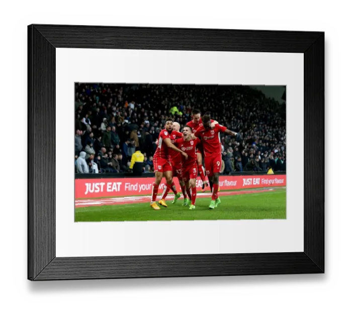 Framed Print : 3-0 Goal Celebration: Tammy Abraham Scores for Bristol City against Derby County, 2017 Framed Print : 3-0 Goal Celebration: Tammy Abraham Scores for Bristol City against Derby County, 2017