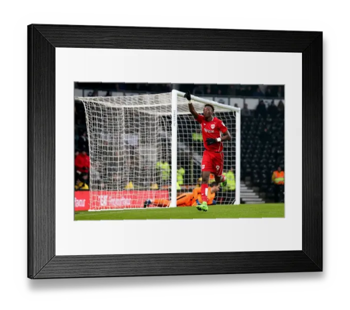 Framed Print : Tammy Abraham's Euphoric Goal Celebration: Derby County vs. Bristol City, Sky Bet Championship (February 11, 2017) Framed Print : Tammy Abraham's Euphoric Goal Celebration: Derby County vs. Bristol City, Sky Bet Championship (February 11, 2017)
