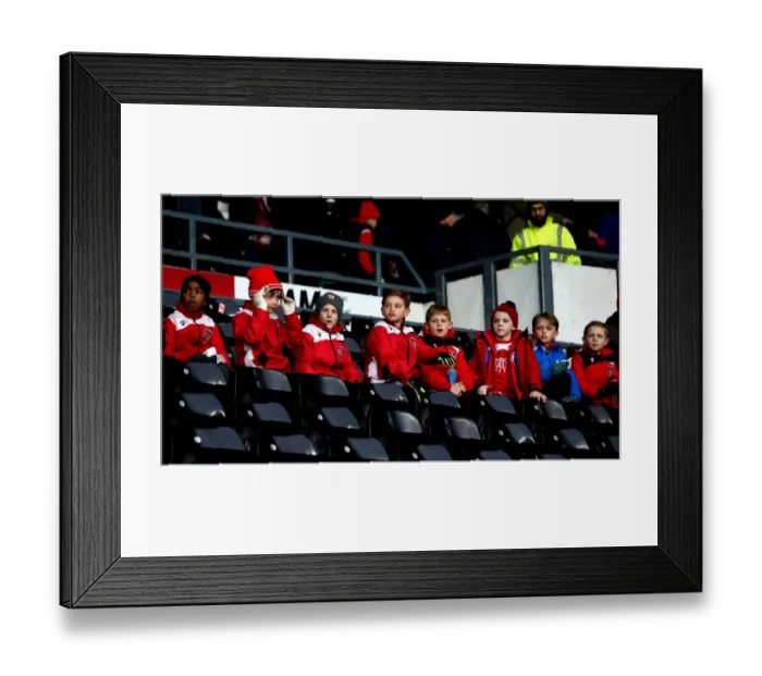Framed Print : Bristol City Fans Rally at iPro Stadium During Derby County Match, February 2017 Framed Print : Bristol City Fans Rally at iPro Stadium During Derby County Match, February 2017