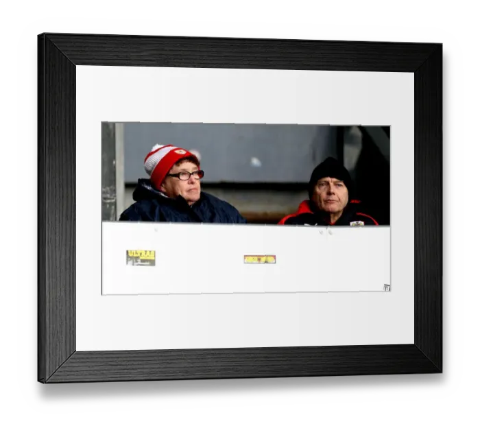 Framed Print : Bristol City Fans Cheering Loudly at iPro Stadium during Derby Championship Match, November 2017 Framed Print : Bristol City Fans Cheering Loudly at iPro Stadium during Derby Championship Match, November 2017