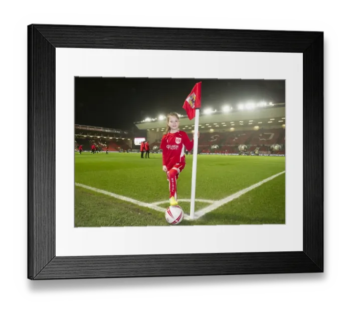 Framed Print : Intense Sky Bet Championship Showdown: Bristol City vs. Fulham at Ashton Gate - February 2017