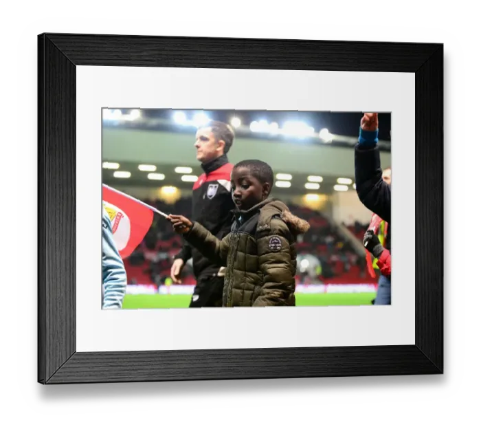 Framed Print : Sky Bet Championship Showdown: Bristol City vs Fulham at Ashton Gate - February 2017