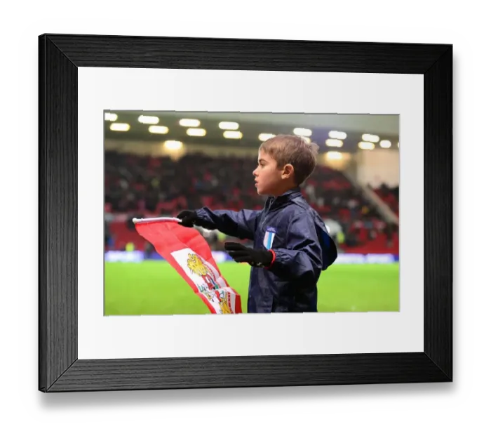 Framed Print : Sky Bet Championship Showdown: Bristol City vs Fulham at Ashton Gate - February 2017