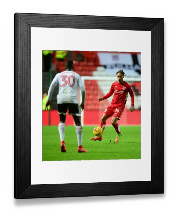 Framed Print : Bobby Reid in Action: Bristol City vs Fulham, Sky Bet Championship, 2017