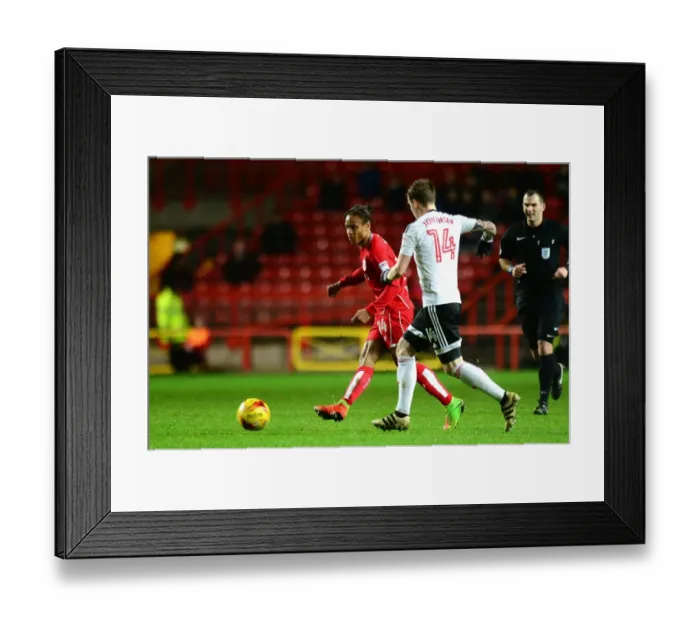 Framed Print : Bobby Reid in Action: Bristol City vs Fulham, Sky Bet Championship, 2017
