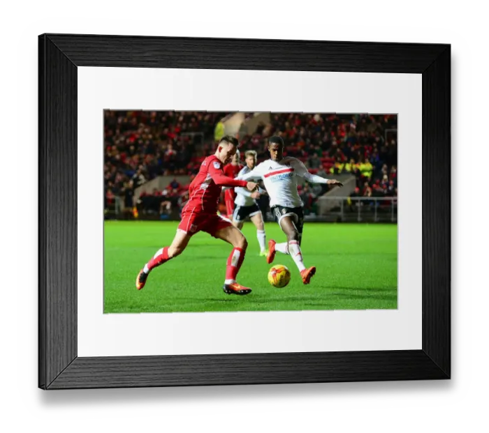 Framed Print : Bristol City v Fulham 220217 Framed Print : Bristol City v Fulham 220217