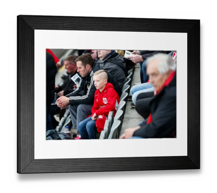 Framed Print : Bristol City Fans Euphoria at St. James Park during Sky Bet EFL Championship Match against Newcastle United Framed Print : Bristol City Fans Euphoria at St. James Park during Sky Bet EFL Championship Match against Newcastle United