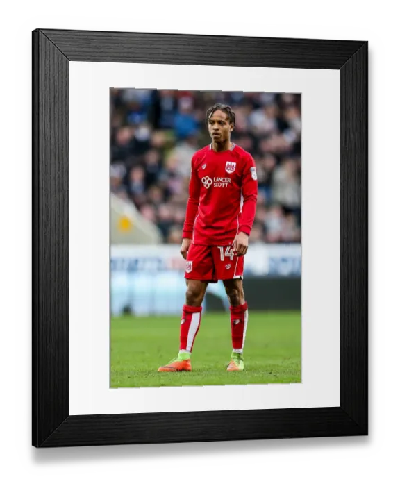 Framed Print : Bobby Reid Watching Intently: Newcastle United vs. Bristol City, 2017 Framed Print : Bobby Reid Watching Intently: Newcastle United vs. Bristol City, 2017