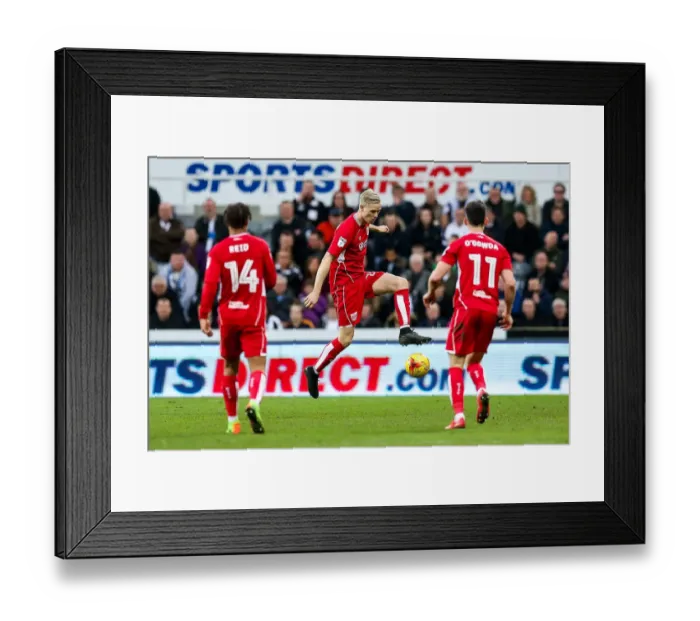 Framed Print : Hordur Magnusson of Bristol City in Action Against Newcastle United, Sky Bet EFL Championship, 2017 Framed Print : Hordur Magnusson of Bristol City in Action Against Newcastle United, Sky Bet EFL Championship, 2017