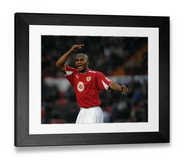 Framed Print : Bristol City vs Reading: Clash of Football Powers, Season 08-09