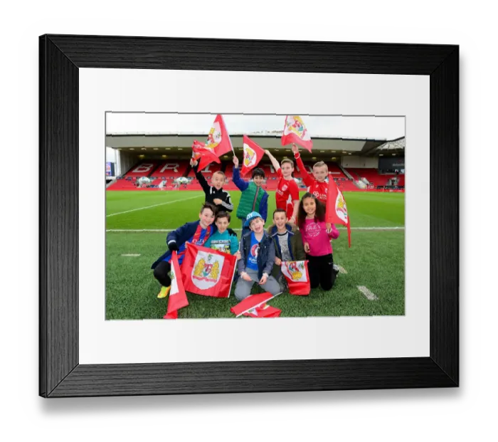 Framed Print : Thrilling Championship Victory: Bristol City's Euphoric Celebration at Ashton Gate (04 / 03 / 2017) Framed Print : Thrilling Championship Victory: Bristol City's Euphoric Celebration at Ashton Gate (04 / 03 / 2017)