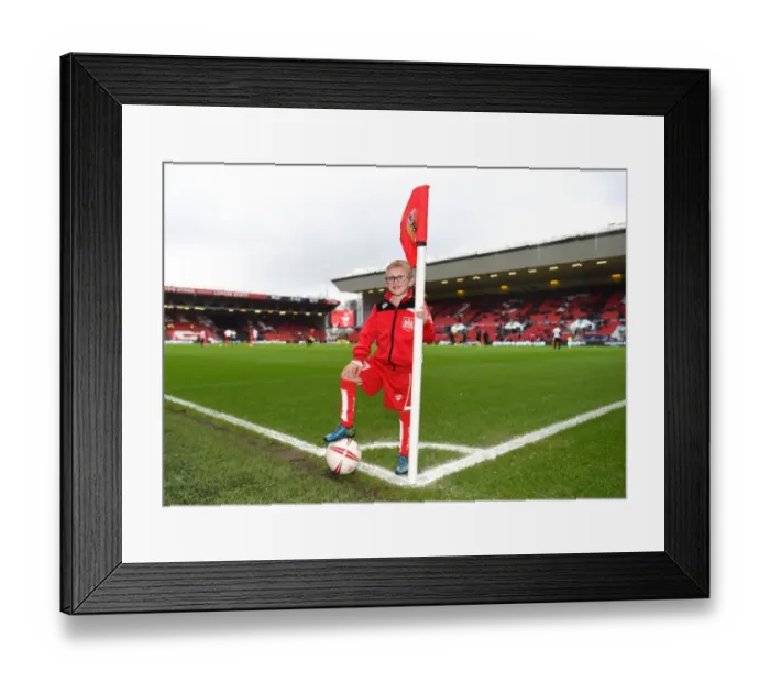 Framed Print : Bristol City vs Burton Albion: Exciting Sky Bet Championship Clash at Ashton Gate