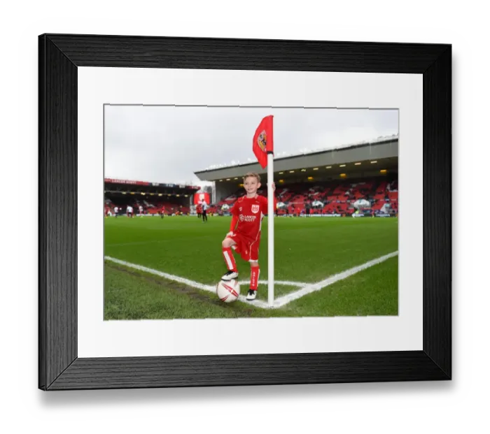 Framed Print : Mascots Face Off: Bristol City vs Burton Albion, Sky Bet Championship (04.03.2017) Framed Print : Mascots Face Off: Bristol City vs Burton Albion, Sky Bet Championship (04.03.2017)