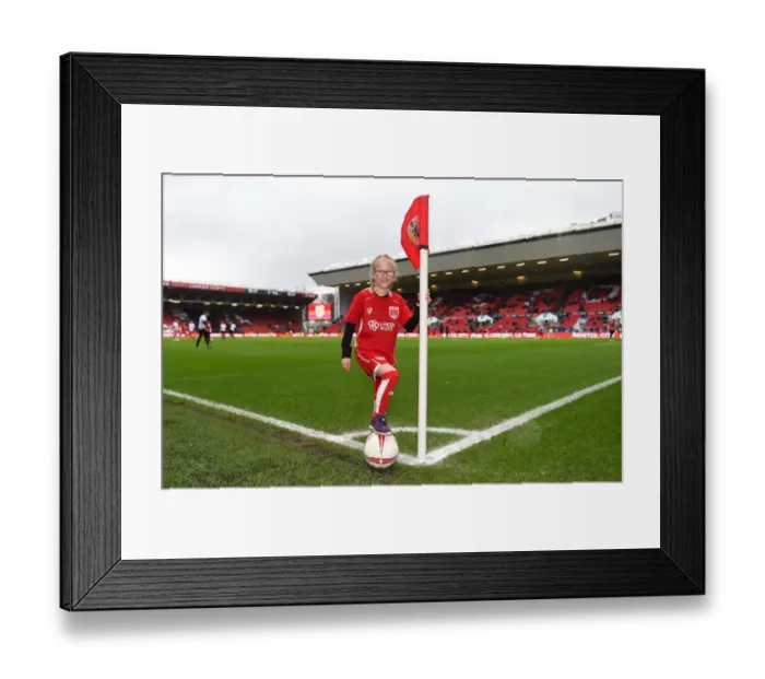 Framed Print : Bristol City vs Burton Albion: Mascots Face-Off at Ashton Gate, Sky Bet Championship (04.03.2017) Framed Print : Bristol City vs Burton Albion: Mascots Face-Off at Ashton Gate, Sky Bet Championship (04.03.2017)