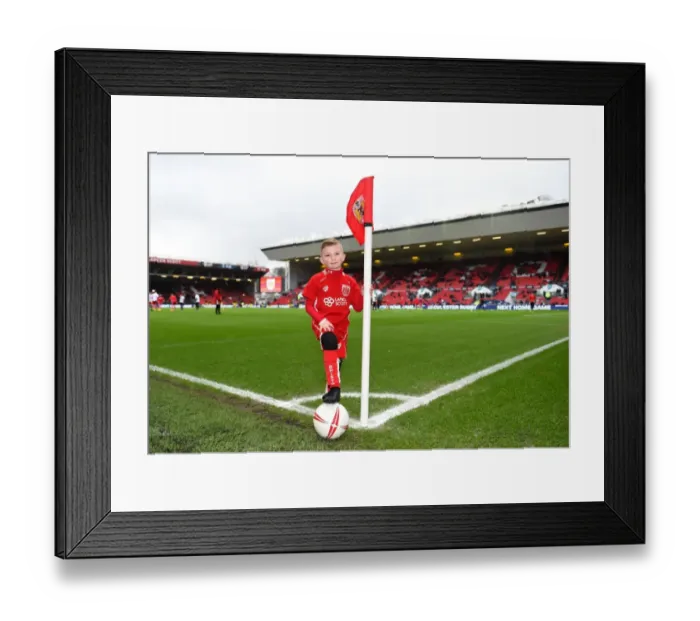 Framed Print : Bristol City vs Burton Albion: Mascot Clash in Sky Bet Championship (04.03.2017)