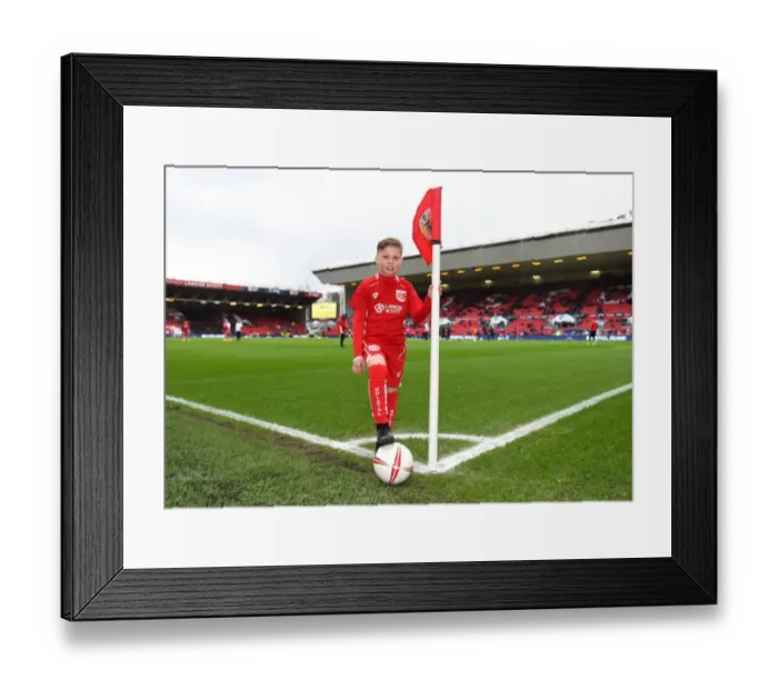 Framed Print : Bristol City v Preston North End 171216 Framed Print : Bristol City v Preston North End 171216