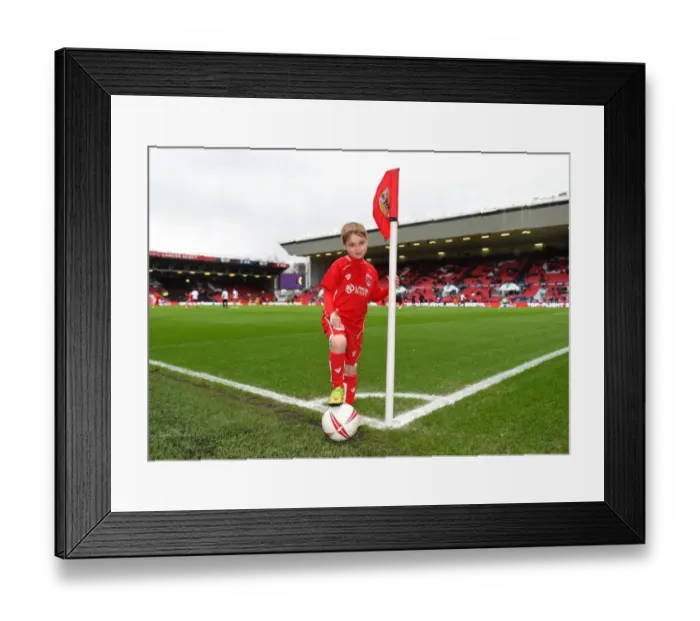 Framed Print : Bristol City vs. Burton Albion: Sky Bet Championship Clash at Ashton Gate Framed Print : Bristol City vs. Burton Albion: Sky Bet Championship Clash at Ashton Gate