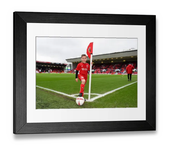 Framed Print : Sky Bet Championship Showdown: Bristol City vs Burton Albion at Ashton Gate Framed Print : Sky Bet Championship Showdown: Bristol City vs Burton Albion at Ashton Gate
