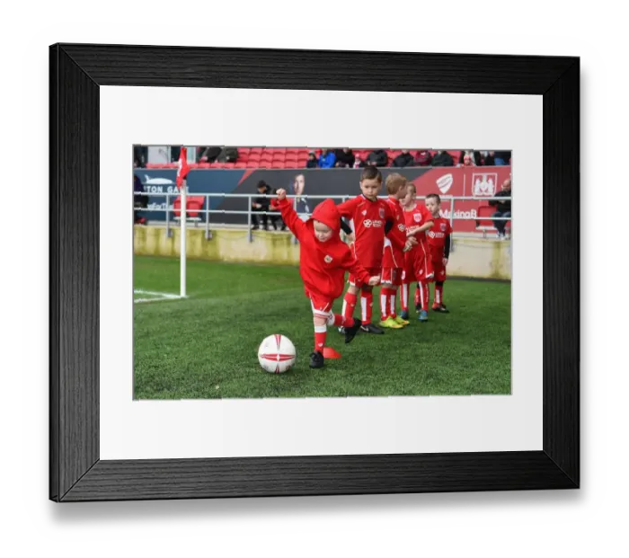 Framed Print : Mascots Clash at Ashton Gate: Bristol City vs Burton Albion, Sky Bet Championship (March 4, 2017) Framed Print : Mascots Clash at Ashton Gate: Bristol City vs Burton Albion, Sky Bet Championship (March 4, 2017)