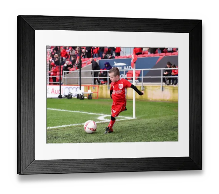 Framed Print : Mascot's Excitement: Bristol City vs. Burton Albion, Sky Bet Championship Clash at Ashton Gate - 4 March 2017