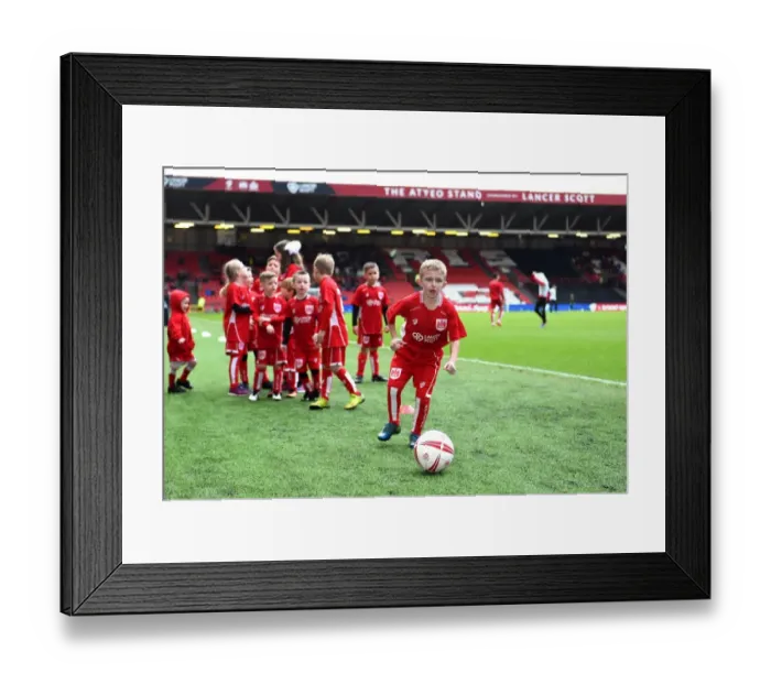 Framed Print : Bristol City vs Burton Albion: Mascots Clash at Ashton Gate, Sky Bet Championship (04.03.2017)