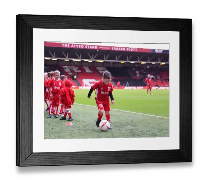 Framed Print : Bristol City vs Burton Albion: Mascot at Ashton Gate, Sky Bet Championship (04.03.2017) Framed Print : Bristol City vs Burton Albion: Mascot at Ashton Gate, Sky Bet Championship (04.03.2017)