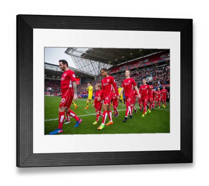 Framed Print : Bobby Reid in Action: Bristol City vs Burton Albion, Sky Bet EFL Championship, 2017 Framed Print : Bobby Reid in Action: Bristol City vs Burton Albion, Sky Bet EFL Championship, 2017