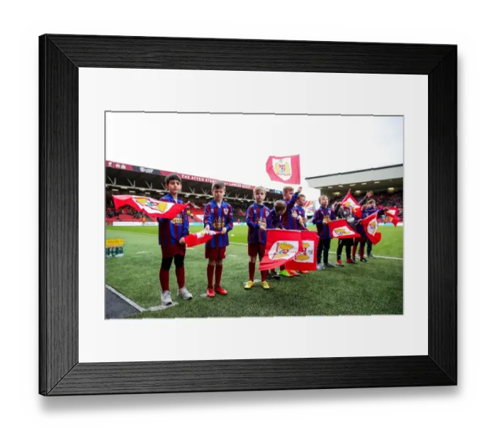 Framed Print : Half Time at Ashton Gate: Bristol City vs Burton Albion, Sky Bet EFL Championship