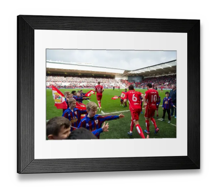 Framed Print : Half Time Flagbearers: Bristol City vs Burton Albion, Sky Bet EFL Championship, Ashton Gate, Bristol, England - March 2017 Framed Print : Half Time Flagbearers: Bristol City vs Burton Albion, Sky Bet EFL Championship, Ashton Gate, Bristol, England - March 2017