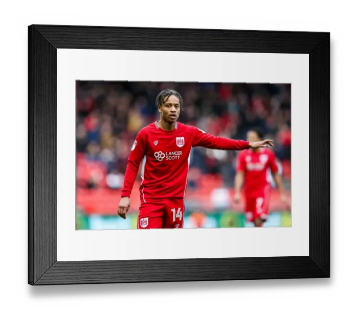 Framed Print : Bobby Reid in Action: Bristol City vs Burton Albion, Sky Bet EFL Championship, 2017 Framed Print : Bobby Reid in Action: Bristol City vs Burton Albion, Sky Bet EFL Championship, 2017