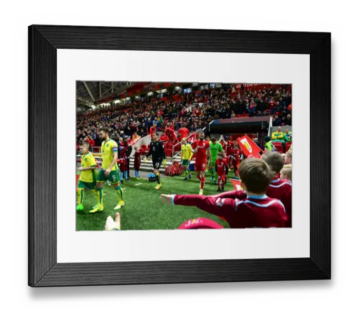 Framed Print : Sky Bet Championship: Mascots Leading the Way - Bristol City vs. Norwich City (07.03.17) Framed Print : Sky Bet Championship: Mascots Leading the Way - Bristol City vs. Norwich City (07.03.17)