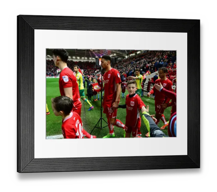 Framed Print : Mascots Lead the Way: Bristol City vs. Norwich City, Sky Bet Championship (07.03.17) Framed Print : Mascots Lead the Way: Bristol City vs. Norwich City, Sky Bet Championship (07.03.17)
