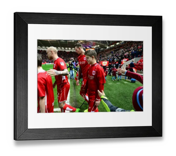 Framed Print : Mascots Leading the Charge: Bristol City vs. Norwich City, March 7, 2017 - Ashton Gate Framed Print : Mascots Leading the Charge: Bristol City vs. Norwich City, March 7, 2017 - Ashton Gate