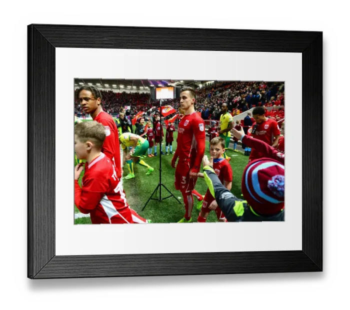 Framed Print : Bristol City vs. Norwich City: Mascots Kick-Off Championship Match, 07-03-2017
