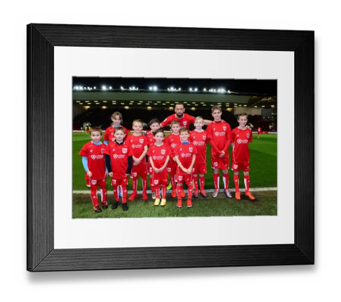 Framed Print : Bristol City vs. Norwich City: Mascots and Aaron Wilbraham, Ashton Gate, 2017 Framed Print : Bristol City vs. Norwich City: Mascots and Aaron Wilbraham, Ashton Gate, 2017