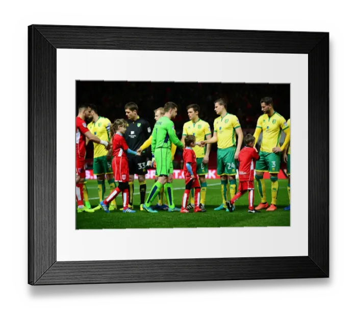 Framed Print : Bristol City vs. Norwich City: Mascots Friendly Handshake - Sky Bet Championship (07.03.17) Framed Print : Bristol City vs. Norwich City: Mascots Friendly Handshake - Sky Bet Championship (07.03.17)