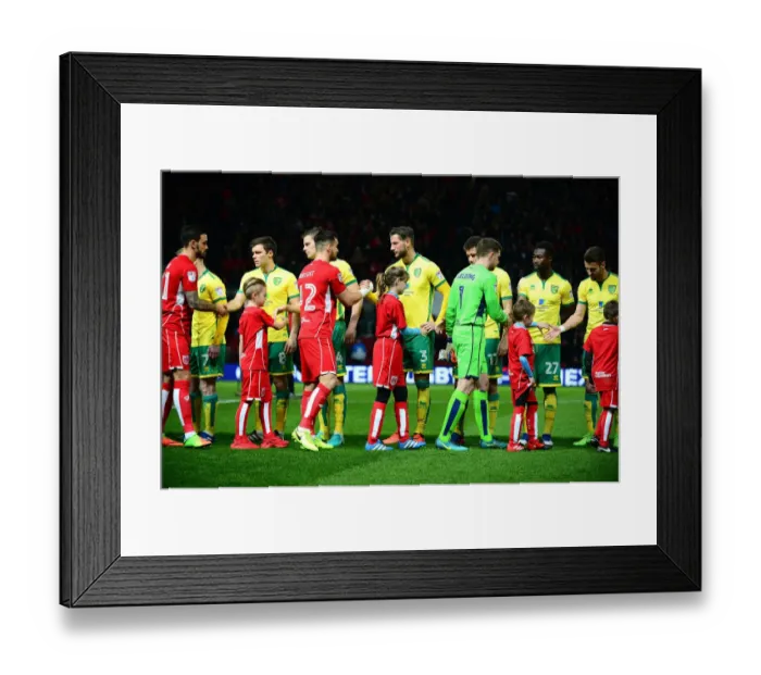 Framed Print : Mascots of Bristol City and Norwich City Football Clubs Share a Moment at Ashton Gate - Sky Bet Championship (07.03.17)