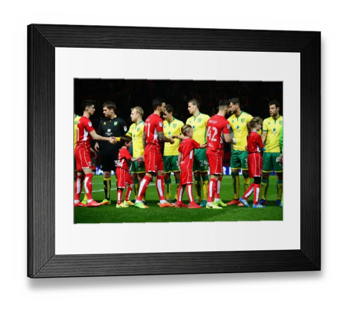 Framed Print : Mascots of Bristol City and Norwich City Football Clubs Shake Hands at Ashton Gate, Sky Bet Championship (07.03.17)