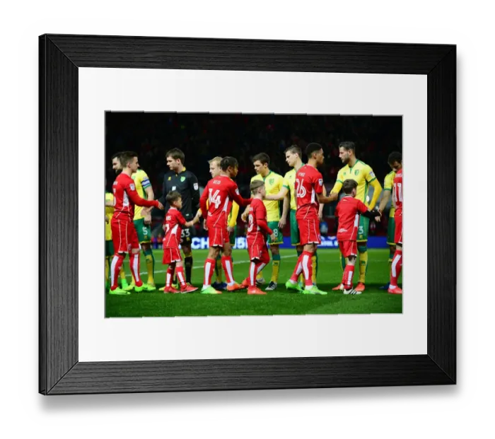 Framed Print : Mascots of Bristol City and Norwich City Football Clubs Share a Moment at Ashton Gate - Sky Bet Championship (07.03.17)